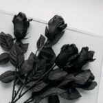 Rosen online liefern